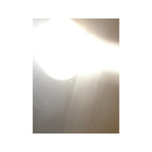 Load image into Gallery viewer, Phoenix Rising (Annihilator)