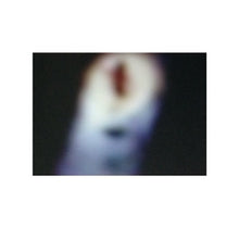 Load image into Gallery viewer, White Lies (Paolo Nutini)