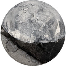 Load image into Gallery viewer, Chimera Circle 3