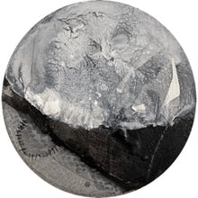 Load image into Gallery viewer, Chimera Circle 20