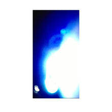 Load image into Gallery viewer, As the worm turns (Faith No More)