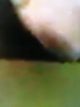 Load image into Gallery viewer, Wish you were here (Pink Floyd)