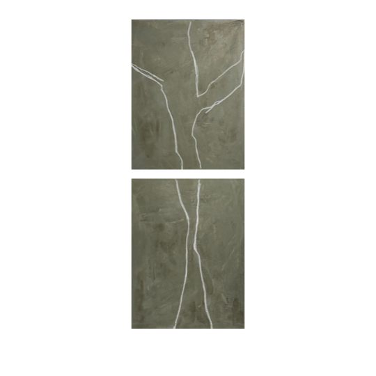 Kauri