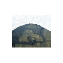 Load image into Gallery viewer, So, Did Anyone Ask What Pīhanga Wanted?
